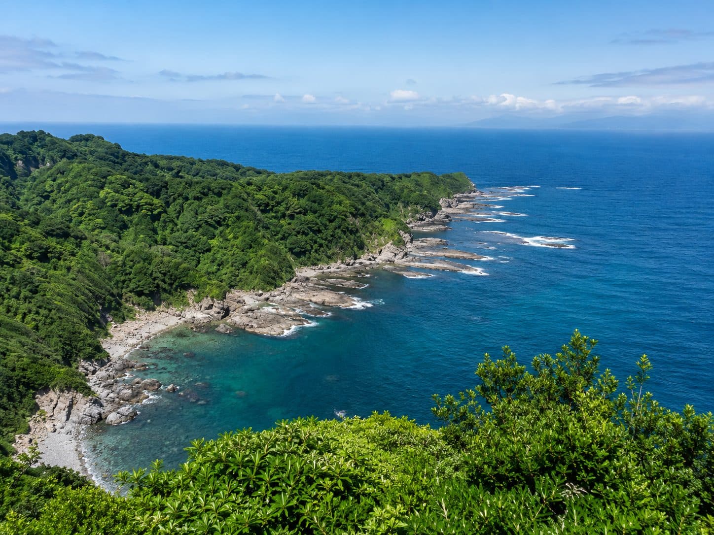 大房岬